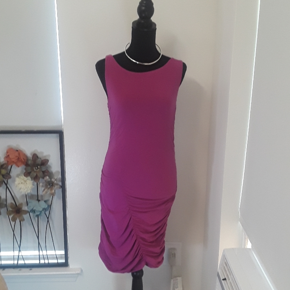 Isda & Co Maroon Ruched Dress - Small